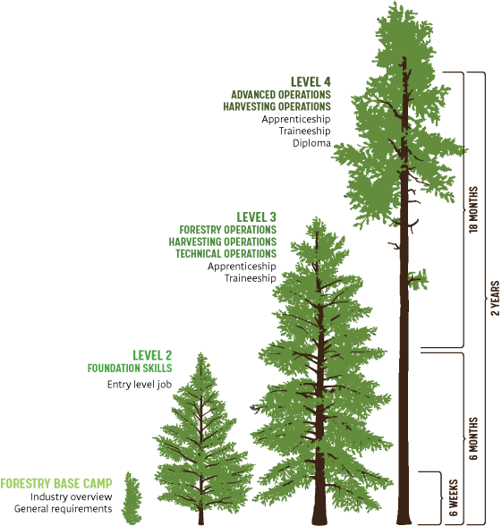 Career Pathway for the Generation Programme